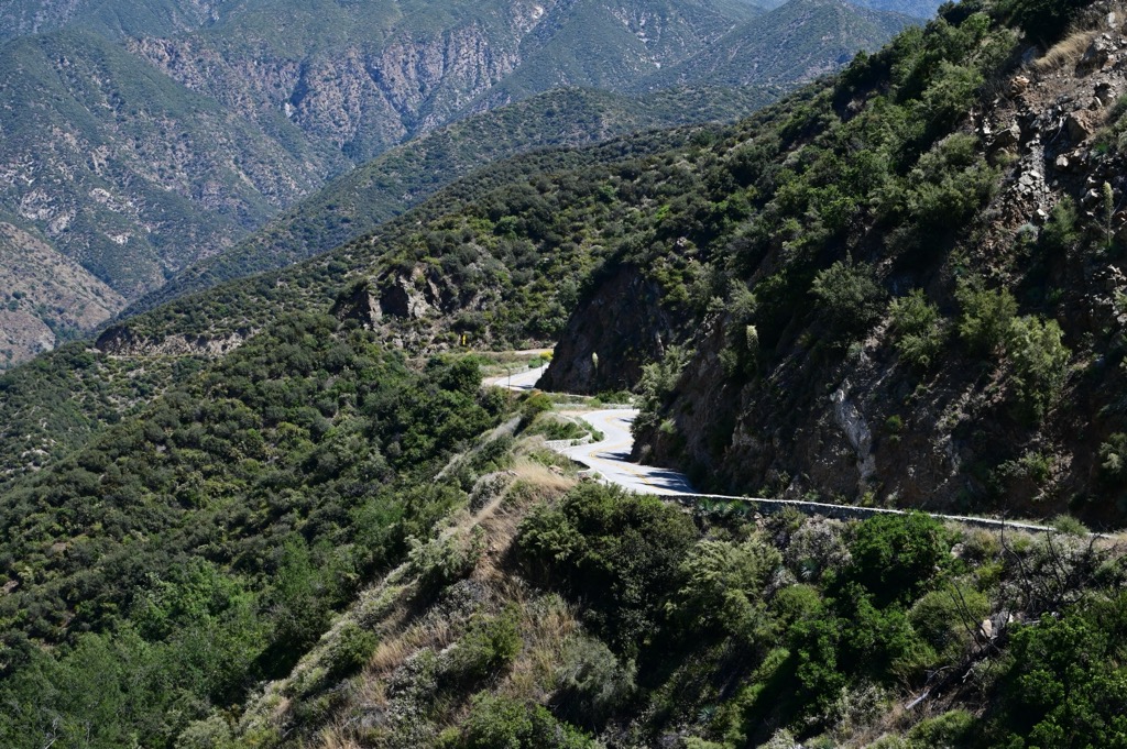 Glendora road cutting through the forest. Angeles National Forest