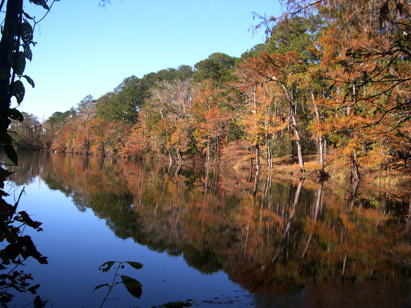 Bouton Lake in Angelina National Forest during autumn. Angelina National Forest