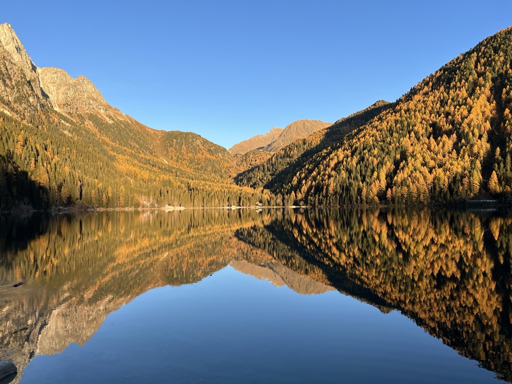 Goldene Lärchen spiegeln sich im Antholzer See, Antholzer Tal, Südtirol