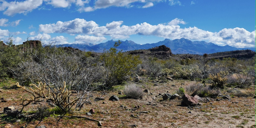 Monolith Garden Trail,Aquarius Mountains, Arizona