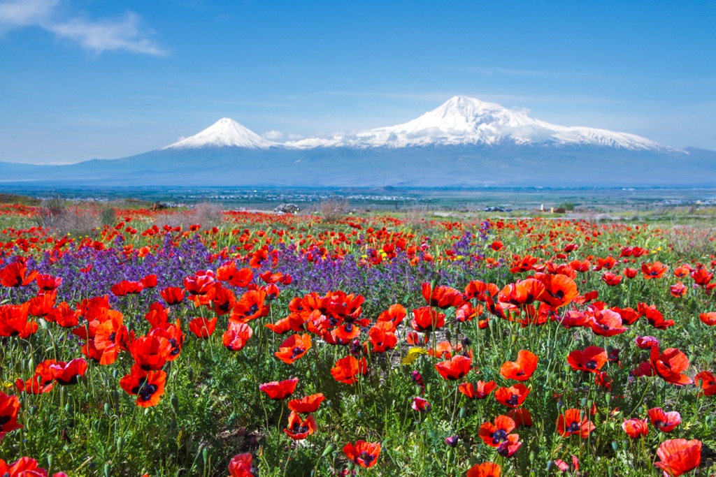 Mount Ararat, Armenia