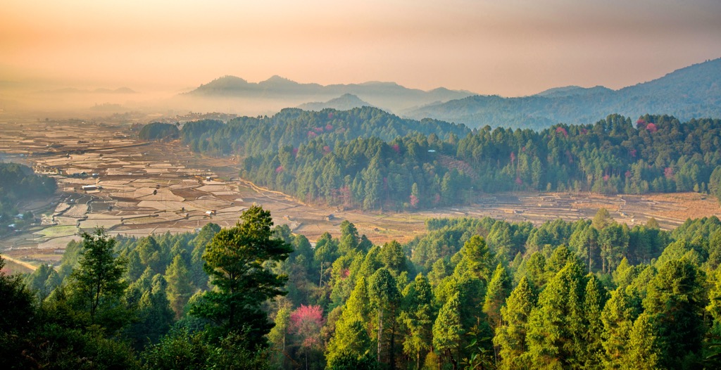 Arunachal Pradesh. monsoonal morning in the Ziro Valley