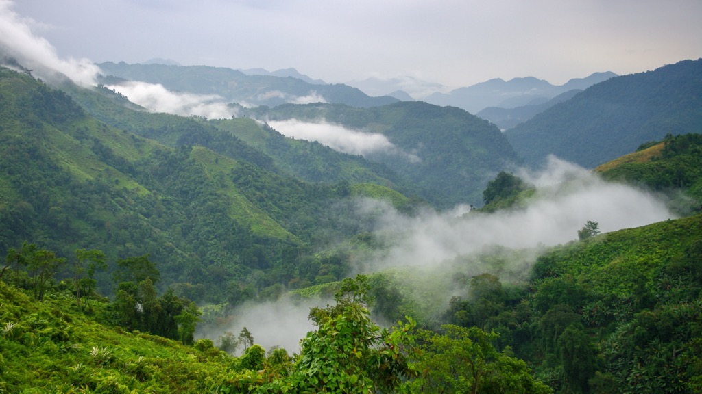 Arunachal Pradesh. subtropical forests of Arunachal Pradesh are the lifeblood of the region’s biodiversity