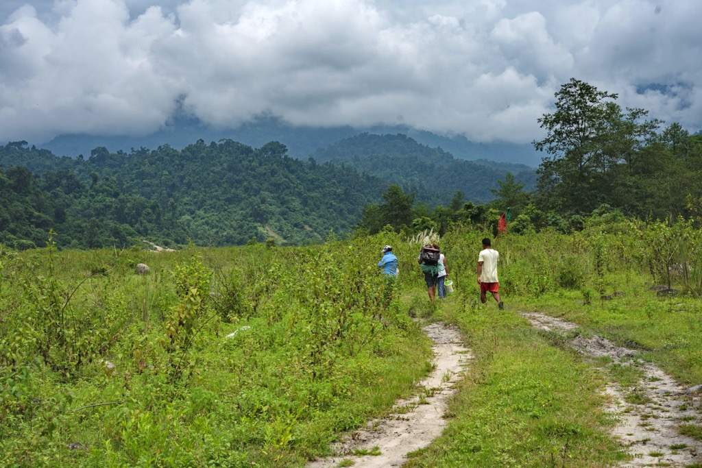 Arunachal Pradesh. trail Doimara