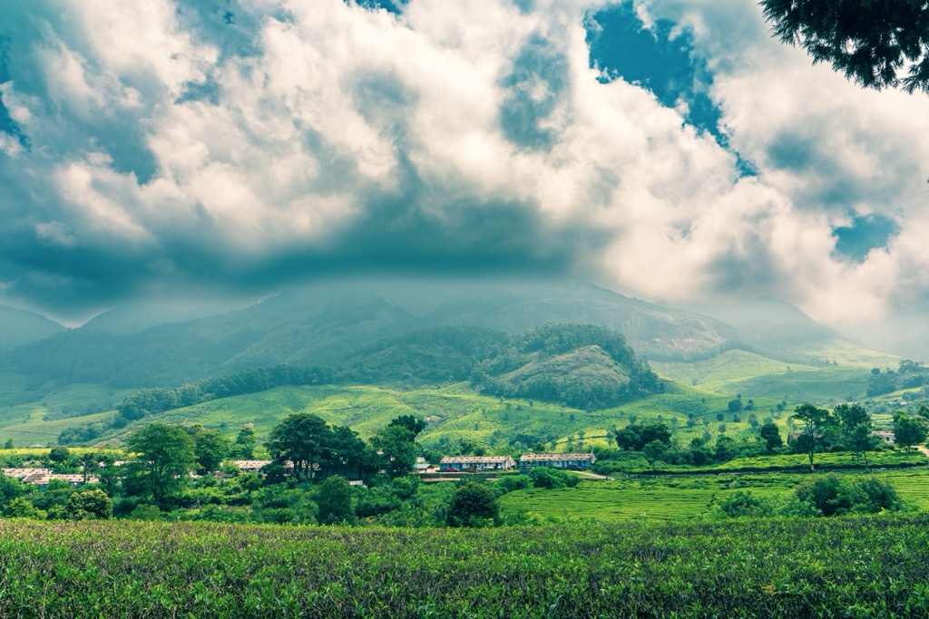 Tea plantations and hill country in the state of Assam, India. Assam Mountains