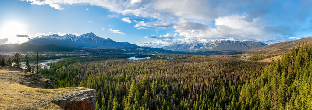Athabasca Valley, Jasper National Park, Alberta, Canada