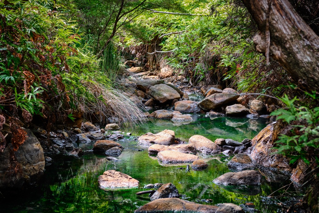 Kaitoke Hot Springs, Auckland, New Zealand