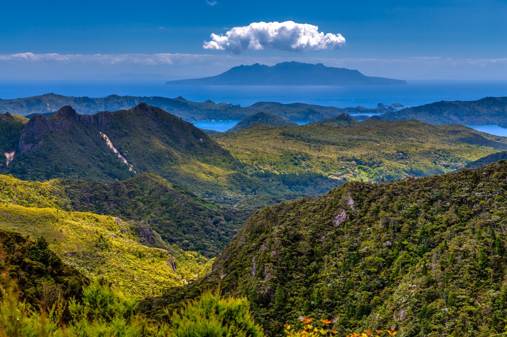 Little Barrier Island, Auckland, New Zealand