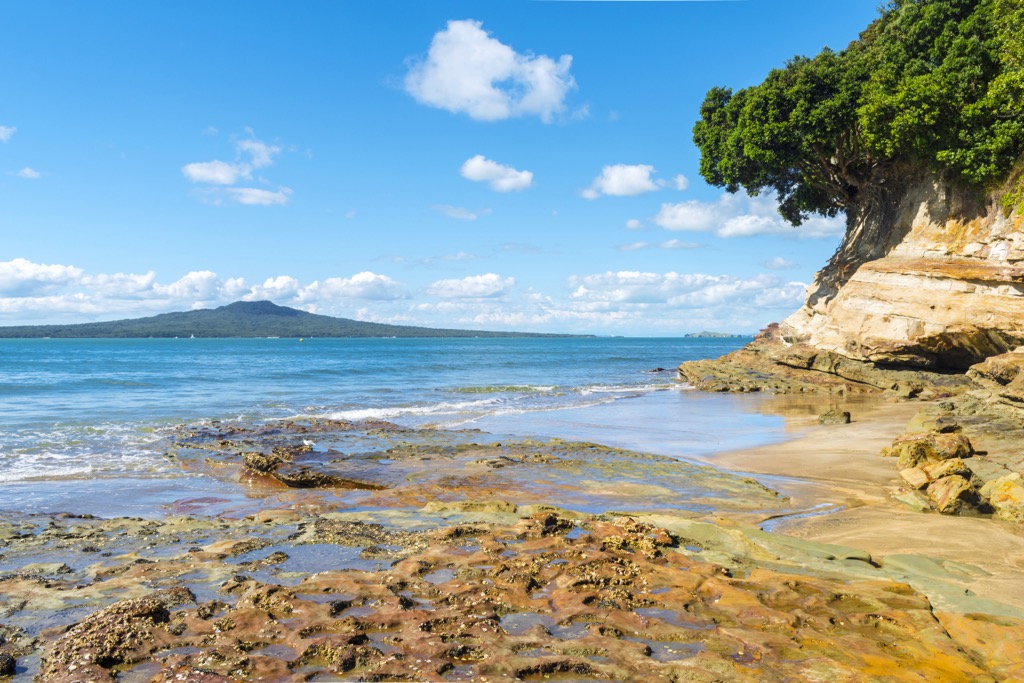 Sandstone cliffs of the Waitemata Group, Auckland, New Zealand