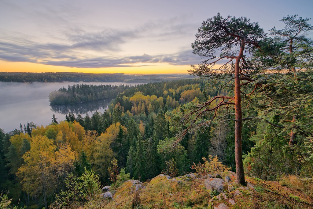 Aulanko Nature Reserve, Finland