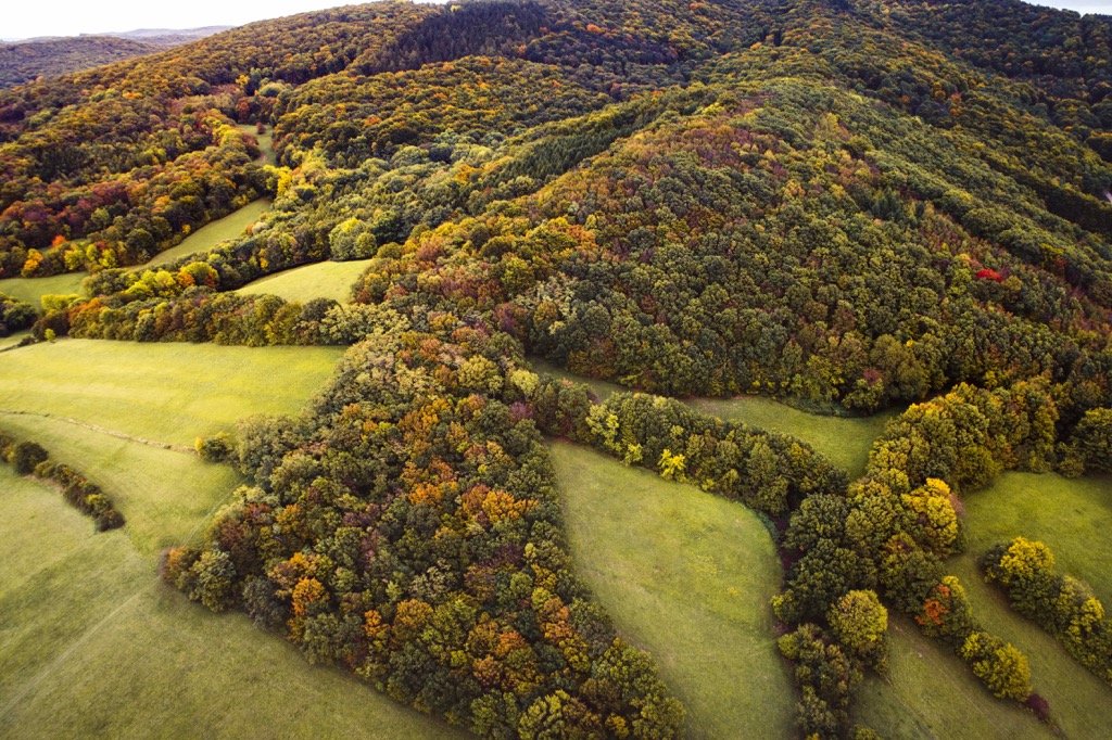 Wienerwald Biosphere Reserve, Austria