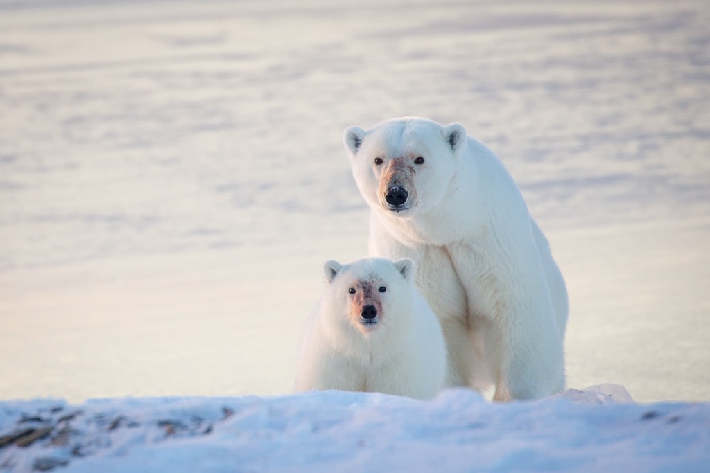 Auyuittuq National Park, Nunavut