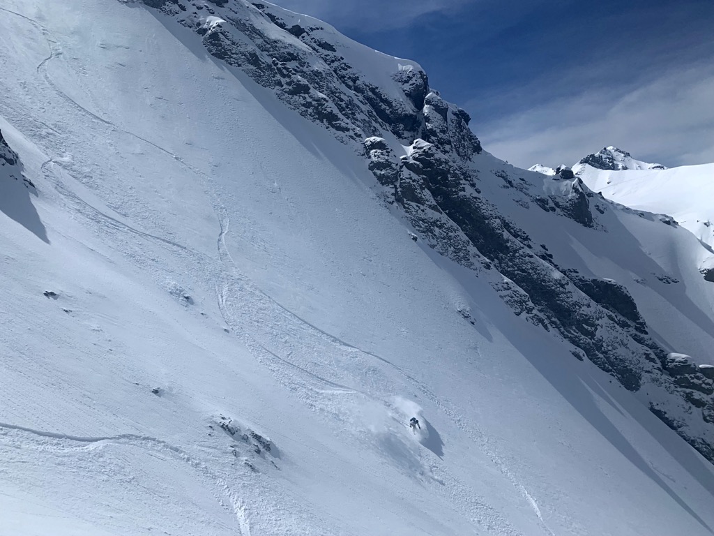 Tackling the upper bowls of the Wasatch Face in Telluride, CO. Photo: Sergei Poljak. Backcountry Telluride