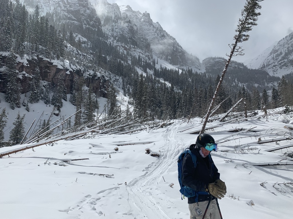 Massive slides in Bear Creek took out large swaths of forest during the historic cycle of 2019. Photo: Sergei Poljak. Backcountry Telluride