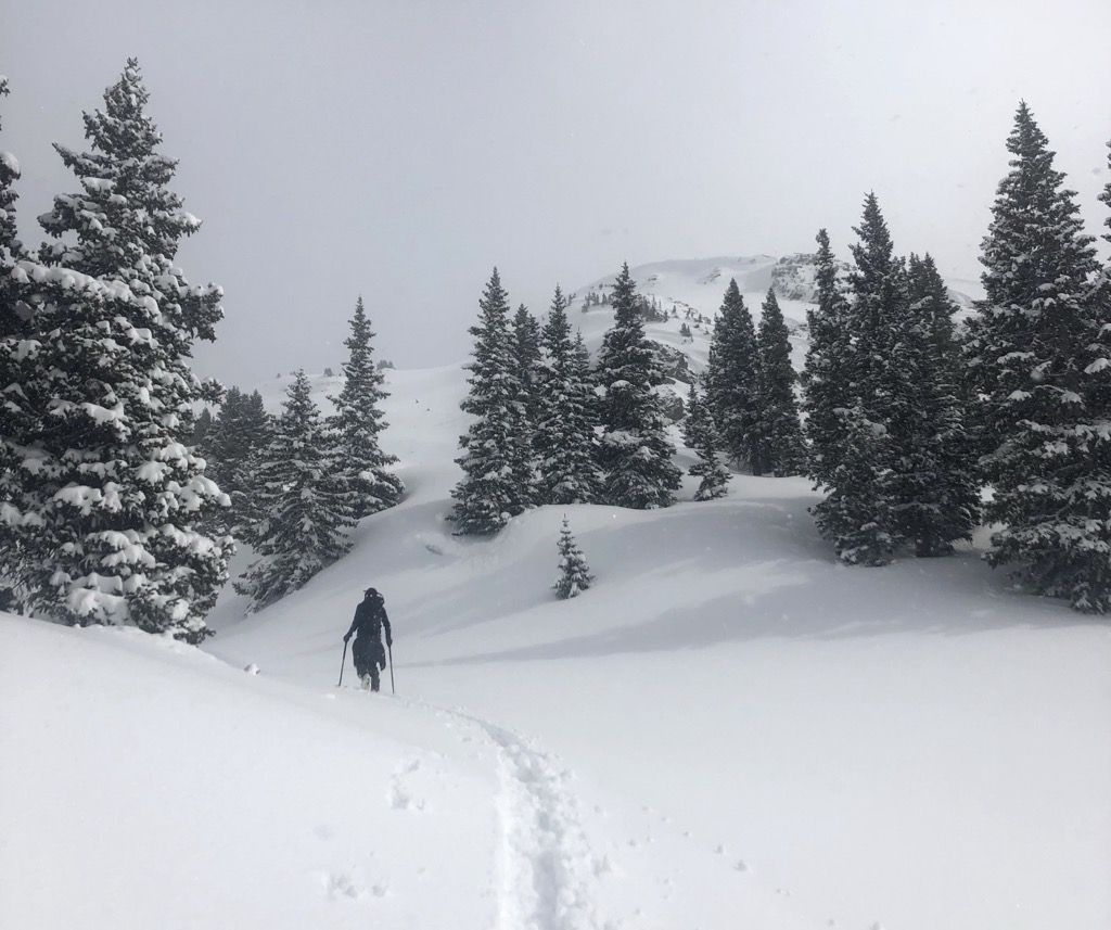 Contemplative powder skiing in Silverton. Photo: Andy Orowitz. Backcountry Telluride