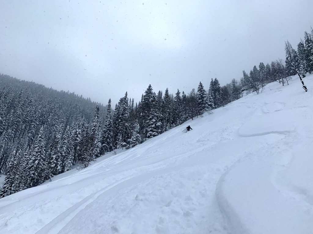 Powder. Photo: Sergei Poljak. Backcountry Telluride