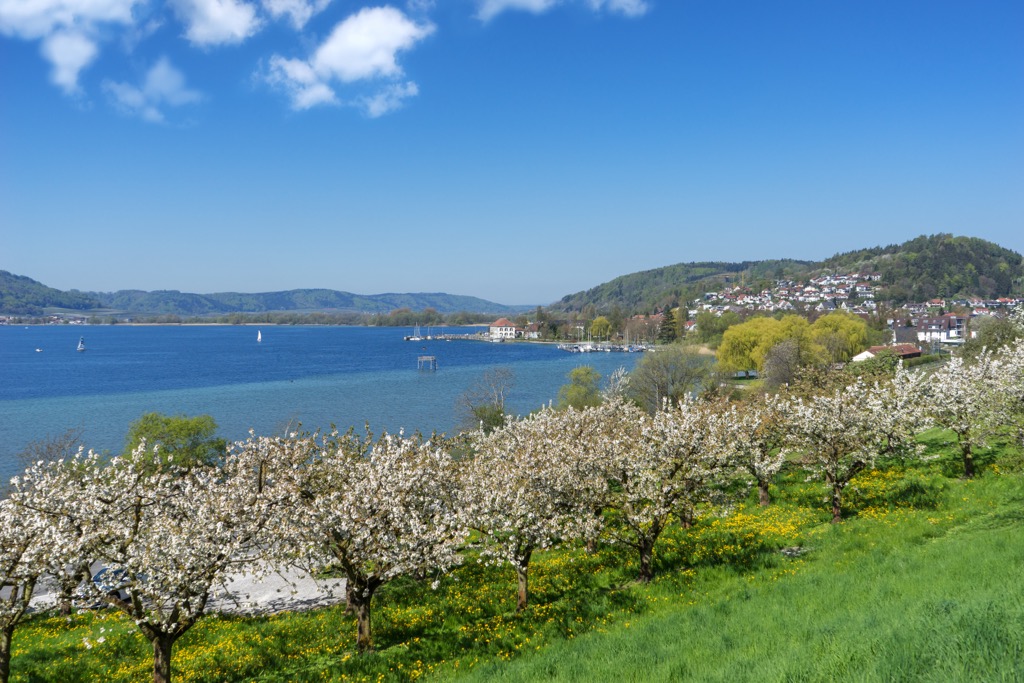 Lake Constance, Baden-Württemberg, Germany