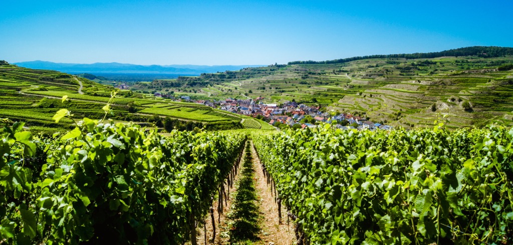 Rhine Valley, Baden-Württemberg, Germany