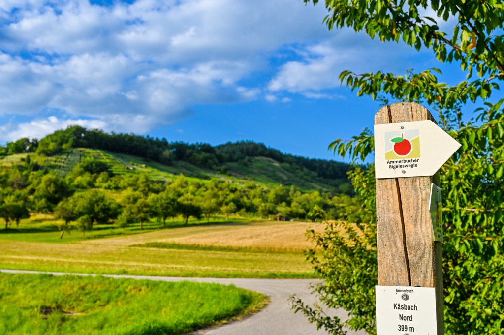 Schönbuch Nature Reserve, Baden-Württemberg, Germany