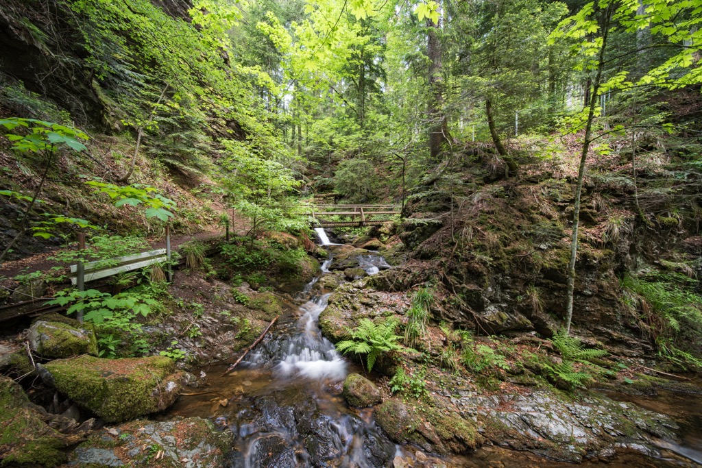 Southern Black Forest National Park, Baden-Württemberg, Germany