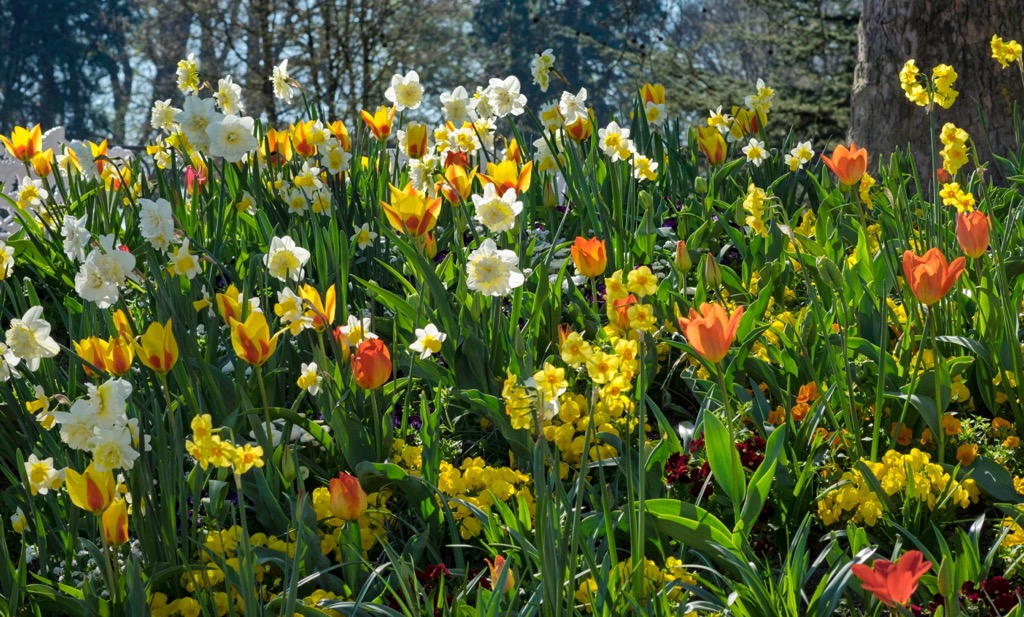 Baden-Württemberg, Germany