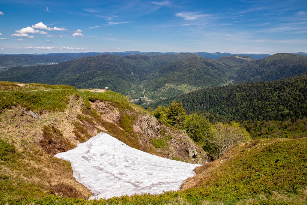 Alsatian Belchen, Ballons des Vosges Regional Nature Parky, France