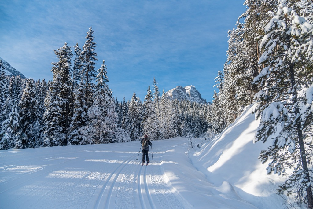 The cross-country ski tracks in Banff National Park are epic. Banff Sunshine Ski Resort