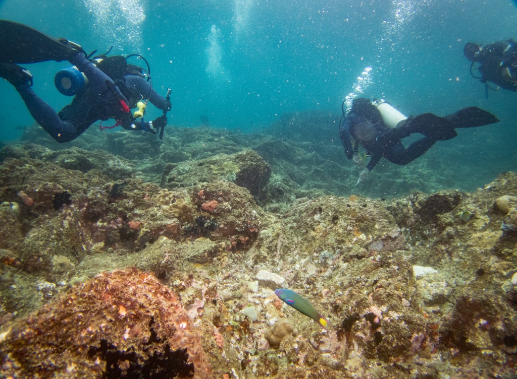 Scuba diving in Verde Island. Batangas Mountains