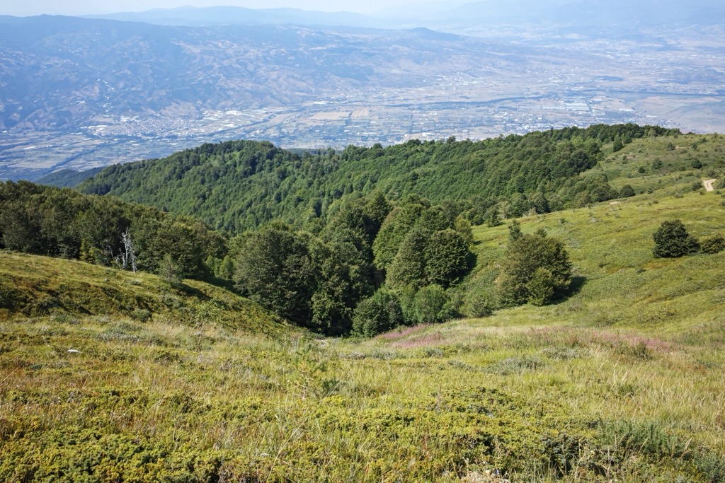 alpine meadows, Belasitsa massif, Bulgaria