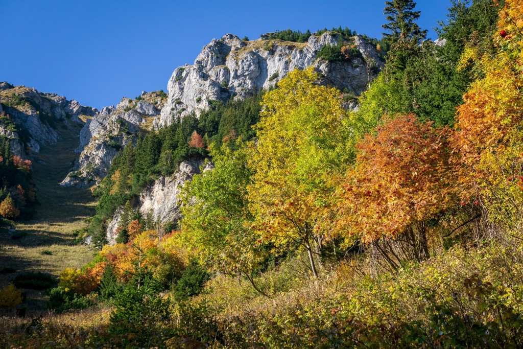 Autumn in the Belianske Tatras. Belianske Tatry