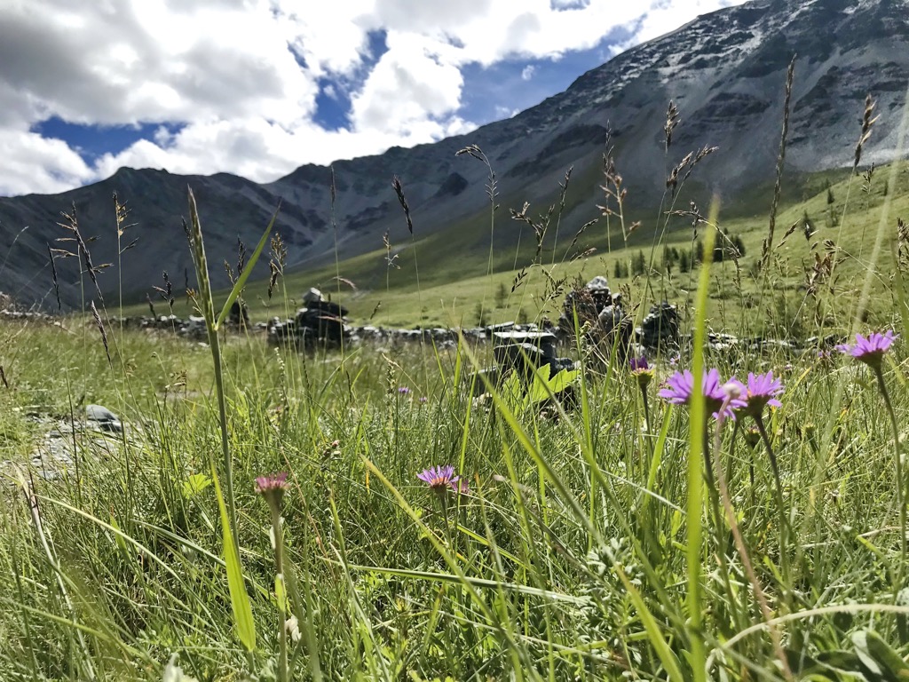 Yarlu Valley. Belukha Nature Park