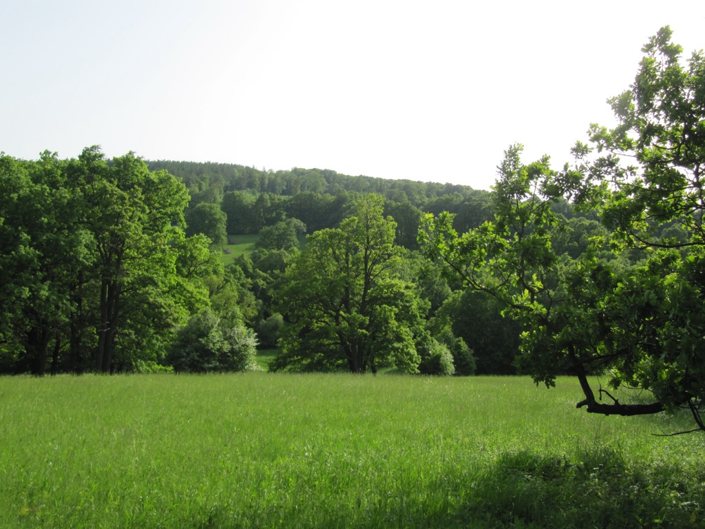 The meadows of Čertoryje. Biele Karpaty