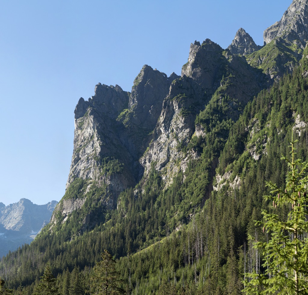 Forests and cliffs of Bielovodská Dolina. Bielovodska Dolina