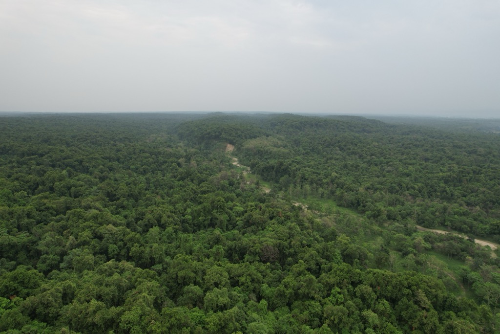 The Valmiki Tiger Reserve, designated in 1990 (One of India’s oldest). Bihar