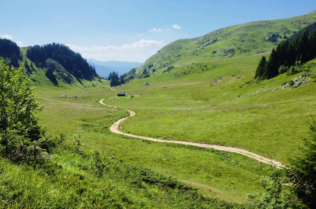 Biogradska Gora National Park, Montenegro