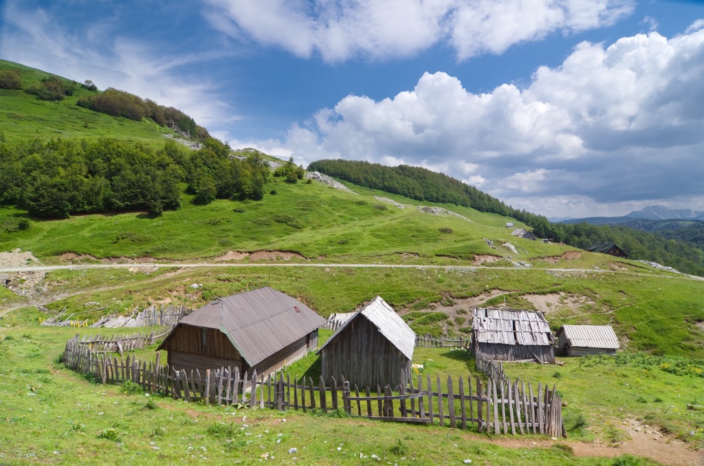 Biogradska Gora National Park, Montenegro