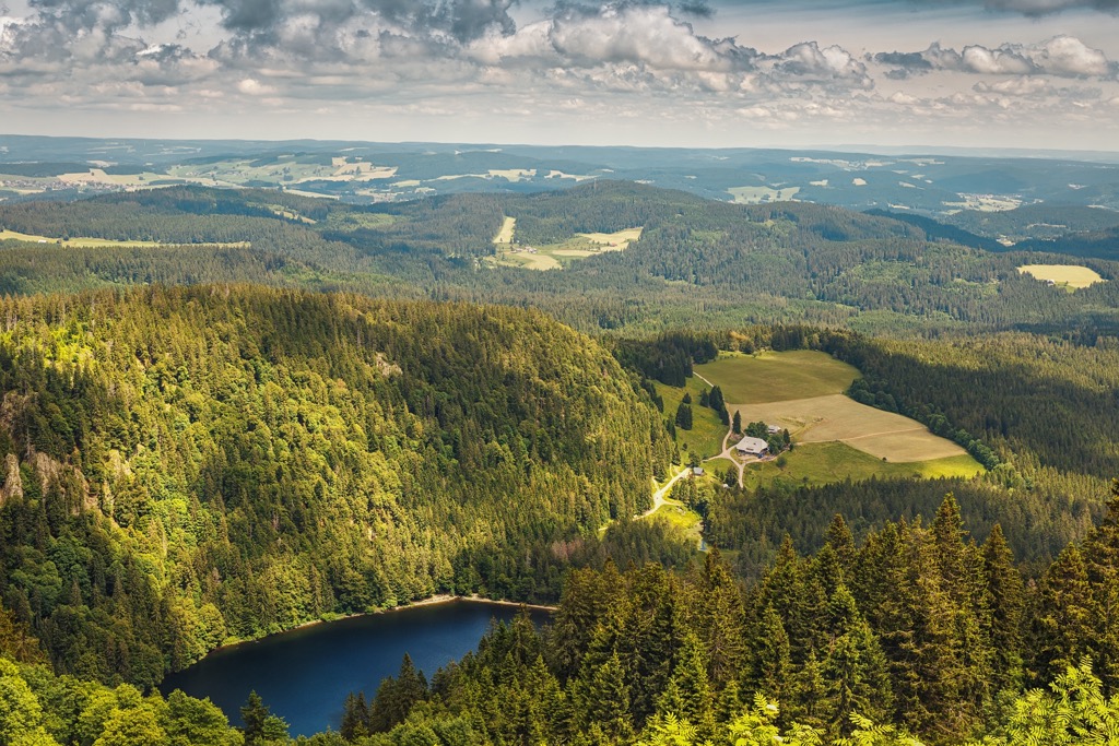 Black Forest National Park Nationalpark Schwarzwald 