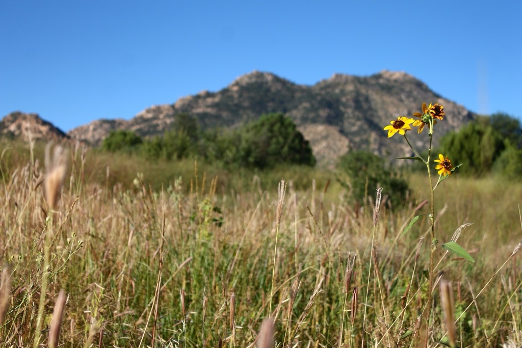 Black Hills, Arizona