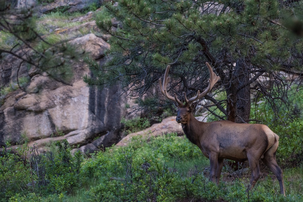Black Range, New Mexico