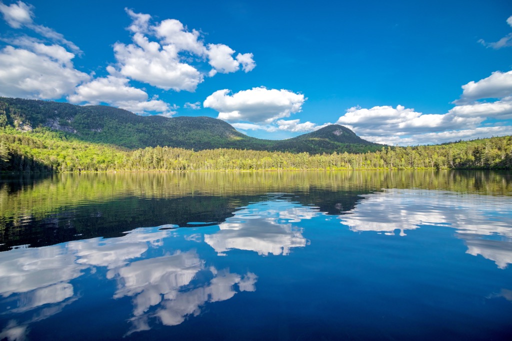Blue Ridge Wilderness, New York