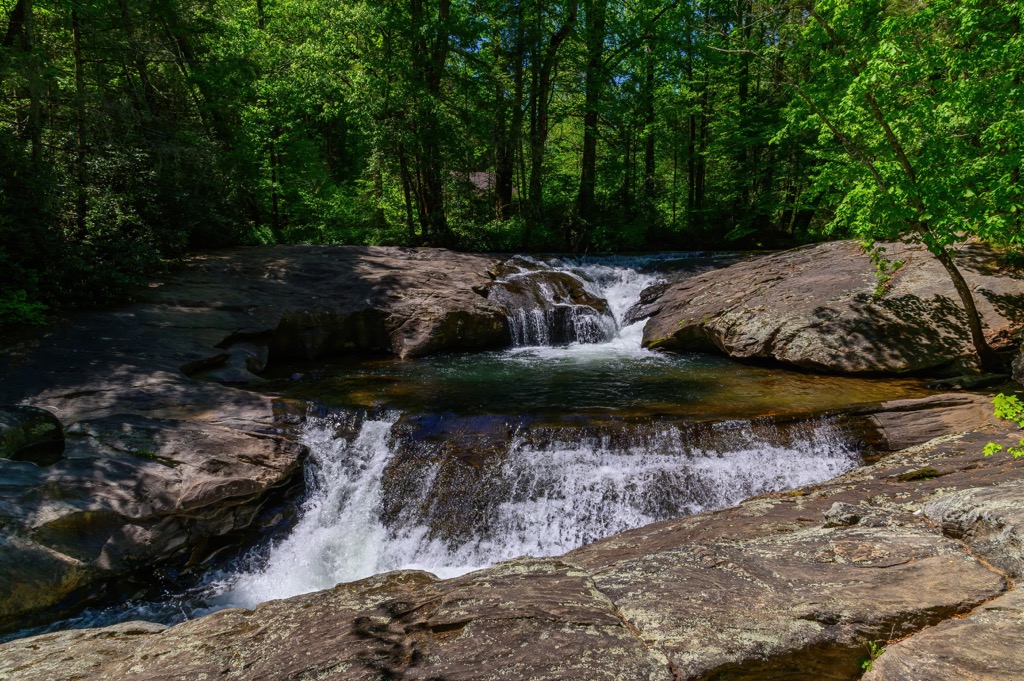 Blue Ridge Wildlife Management Area, Georgia
