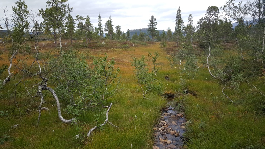 Børgefjell National Park, Norway