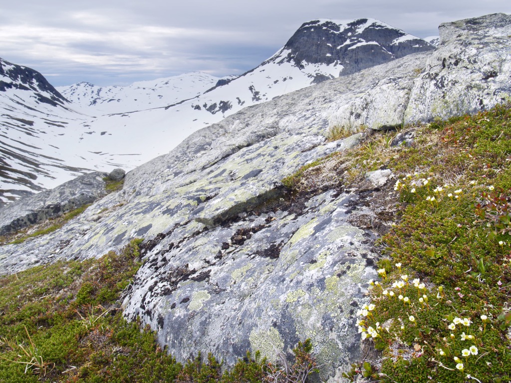 Børgefjell National Park, Norway