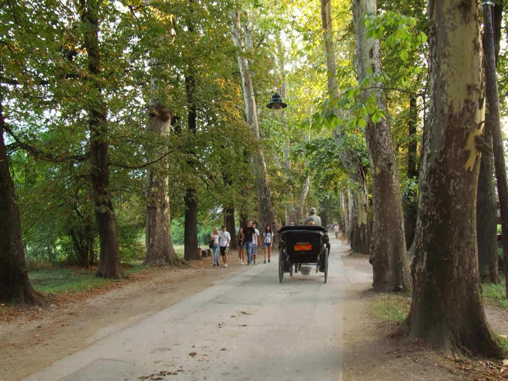 Horse-drawn carriages are one of the more touristy elements of the park. Bosnia Spring