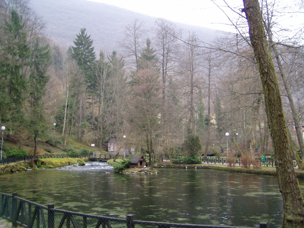 The park in winter. Bosnia Spring