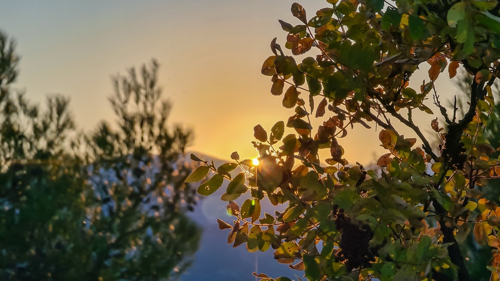 Bredhi i Drenova National Park, Albania