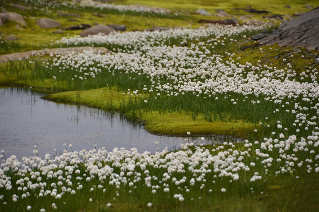Breheimen National Park, Norway