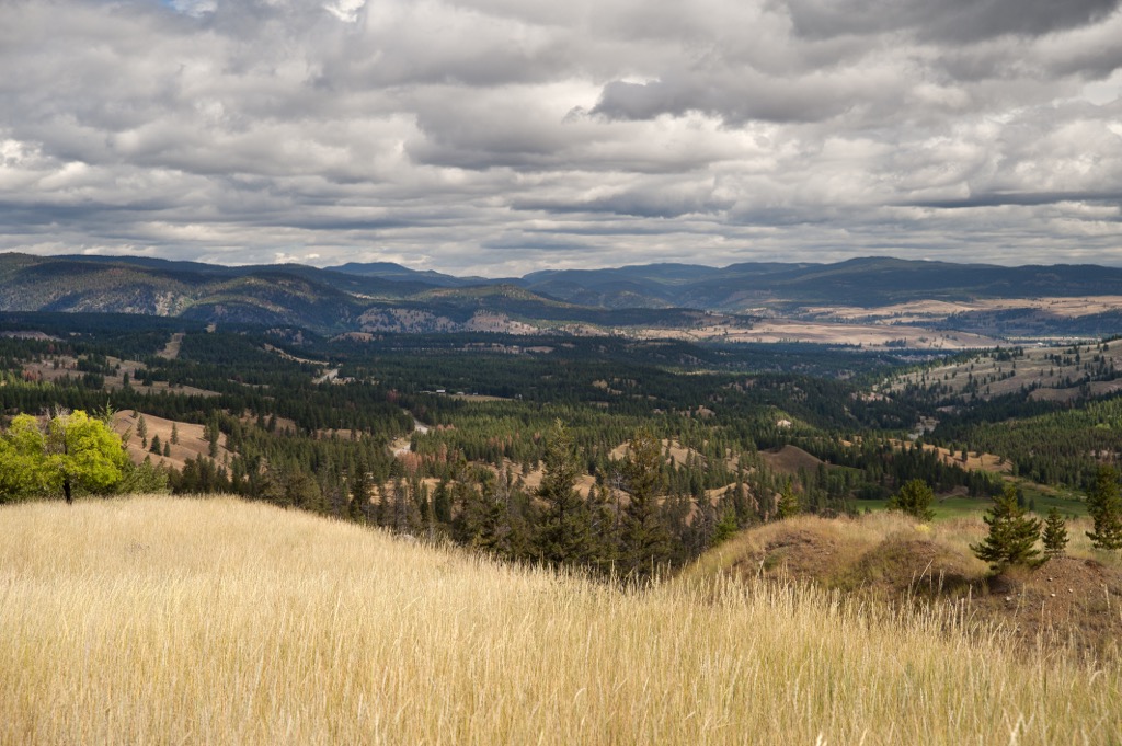  Brent Mountain Protected Area, British Columbia