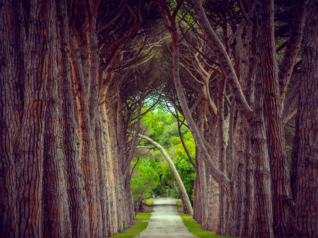 Brijuni Islands, Croatia