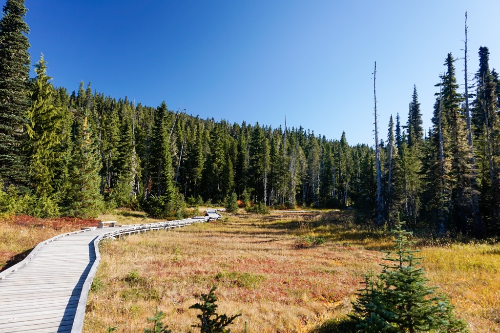 Strathcona Provincial Park, British Columbia